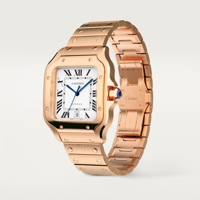 SANTOS DE CARTIER saat - Görsel 4