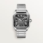 SANTOS DE CARTIER saat