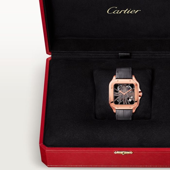 SANTOS DE CARTIER iskelet saat - Görsel 8