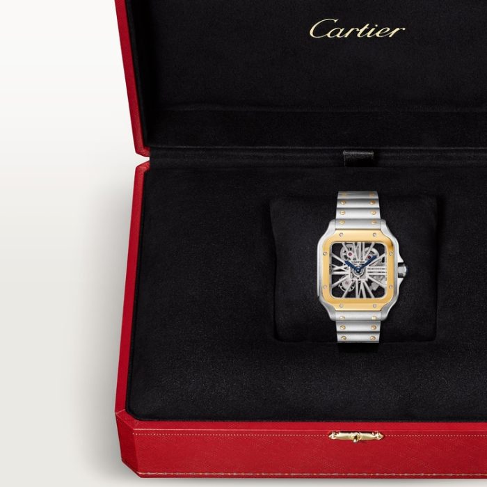 SANTOS DE CARTIER iskelet saat - Görsel 5