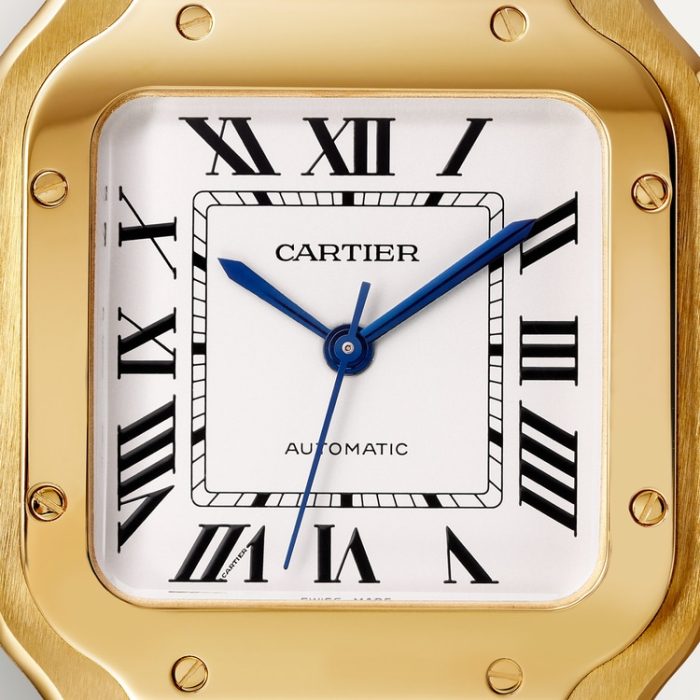 SANTOS DE CARTIER saat - Görsel 6