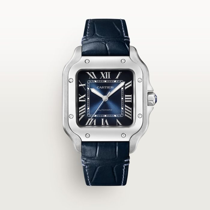 SANTOS DE CARTIER saat - Görsel 6