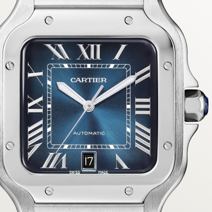 SANTOS DE CARTIER saat - Görsel 10