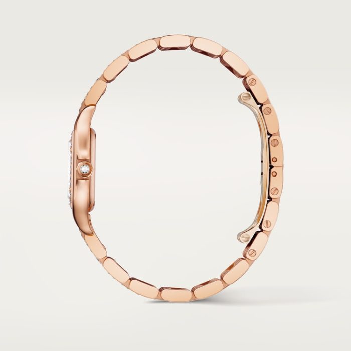PANTHÈRE DE CARTIER saat - Görsel 4