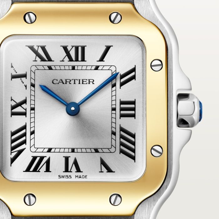 SANTOS DE CARTIER saat - Görsel 7