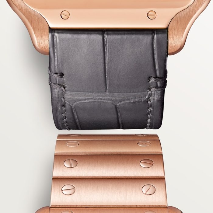SANTOS DE CARTIER iskelet saat - Görsel 3