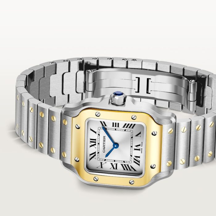 SANTOS DE CARTIER saat - Görsel 6