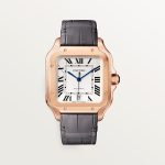 SANTOS DE CARTIER saat
