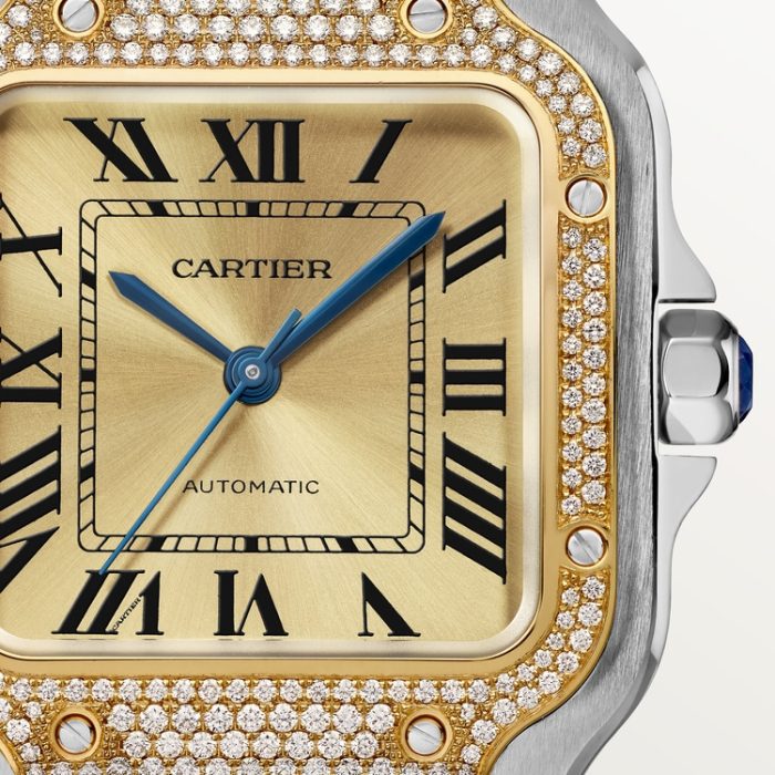 SANTOS DE CARTIER saat - Görsel 5