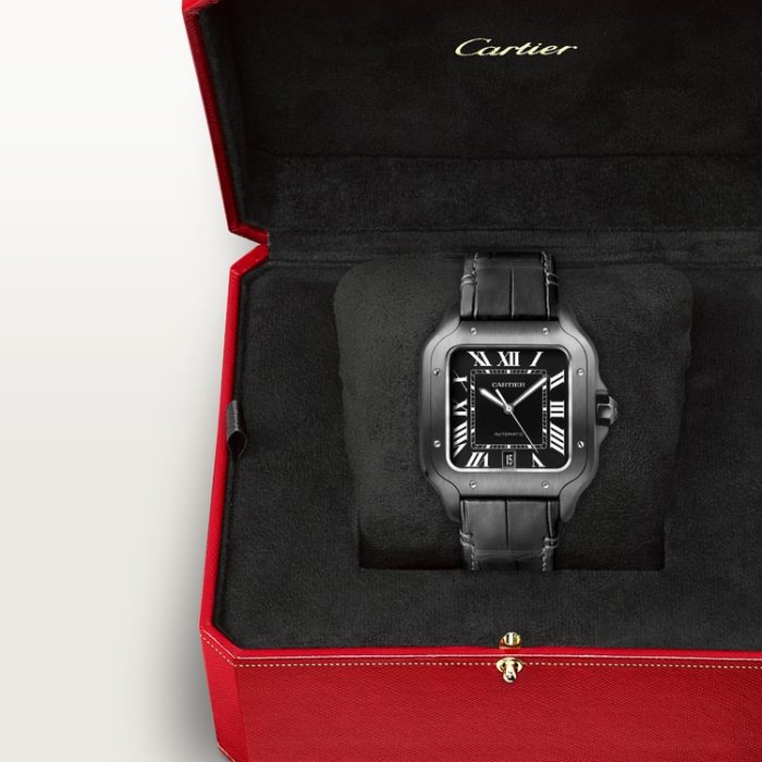 SANTOS DE CARTIER saat - Görsel 11