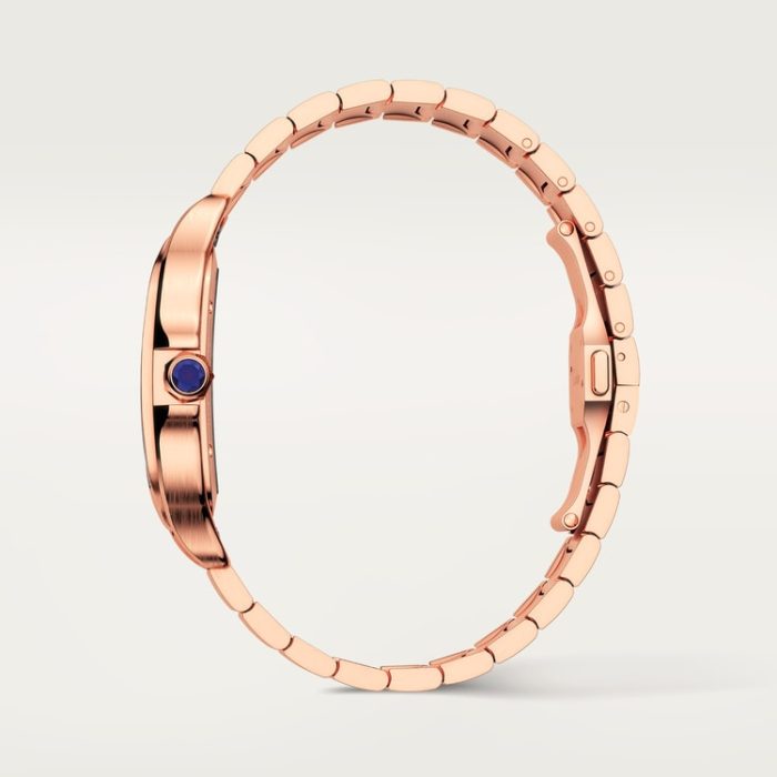 SANTOS DE CARTIER iskelet saat - Görsel 5