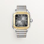 SANTOS DE CARTIER saat