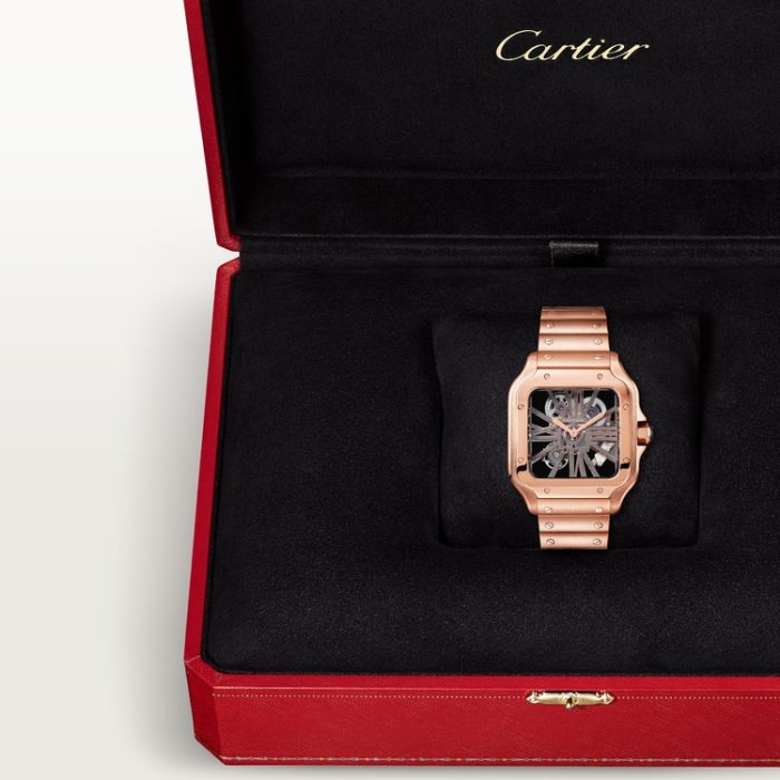 SANTOS DE CARTIER iskelet saat - Görsel 9