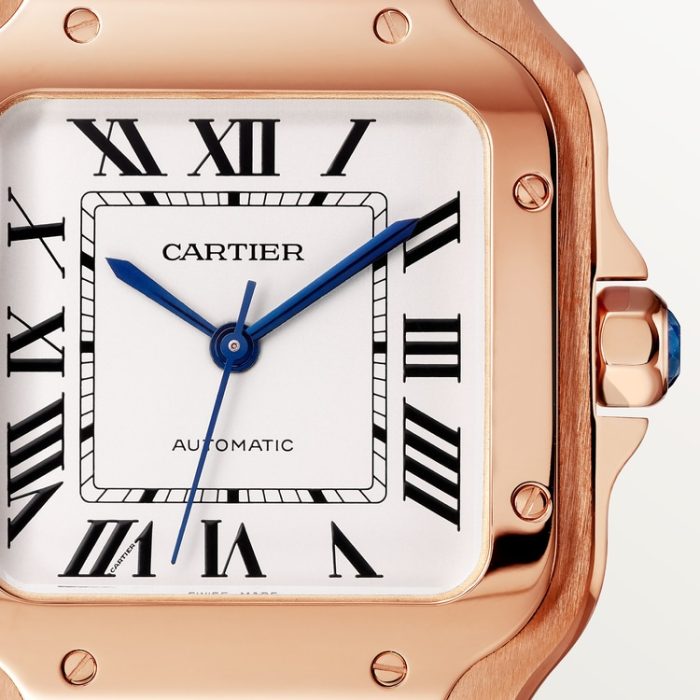 SANTOS DE CARTIER saat - Görsel 8