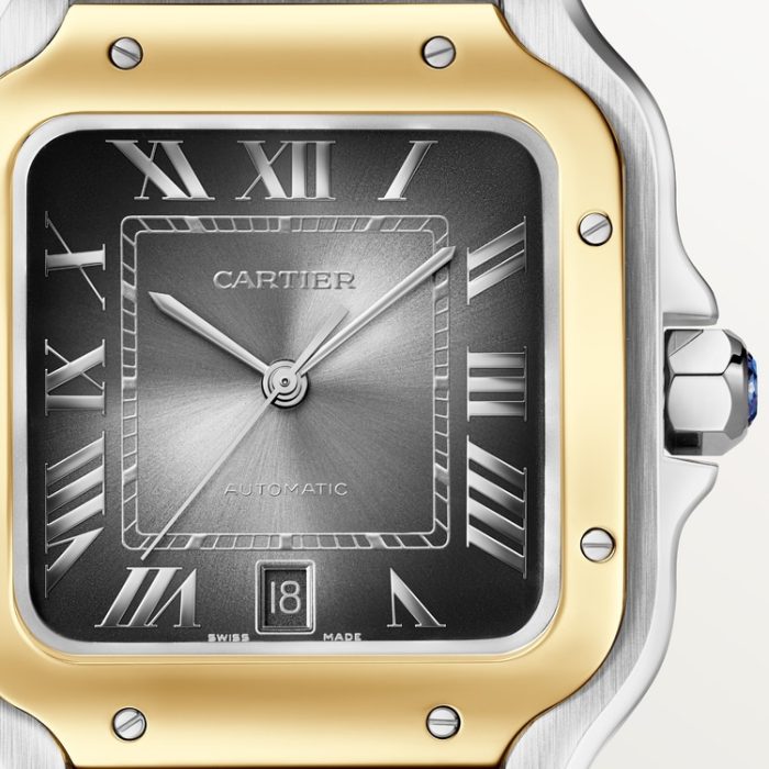 SANTOS DE CARTIER saat - Görsel 7
