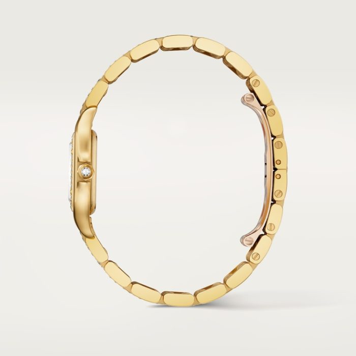 PANTHÈRE DE CARTIER saat - Görsel 5