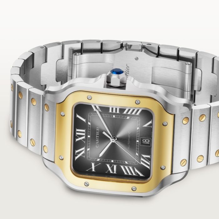 SANTOS DE CARTIER saat - Görsel 6