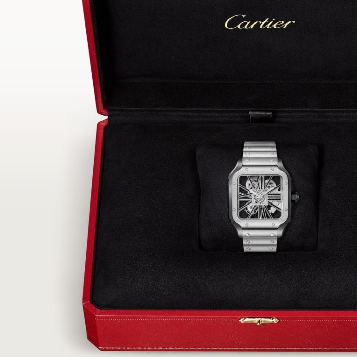 SANTOS DE CARTIER iskelet saat - Görsel 9