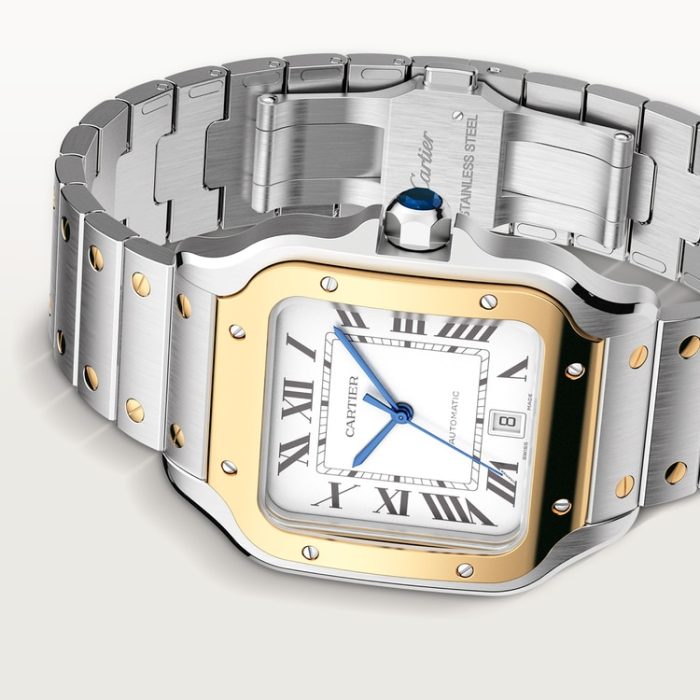 SANTOS DE CARTIER saat - Görsel 9