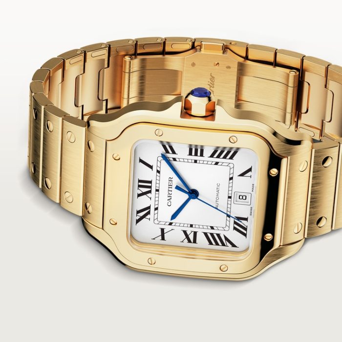 SANTOS DE CARTIER saat - Görsel 8