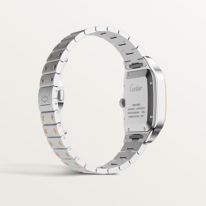 SANTOS DE CARTIER saat - Görsel 8