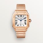 SANTOS DE CARTIER saat