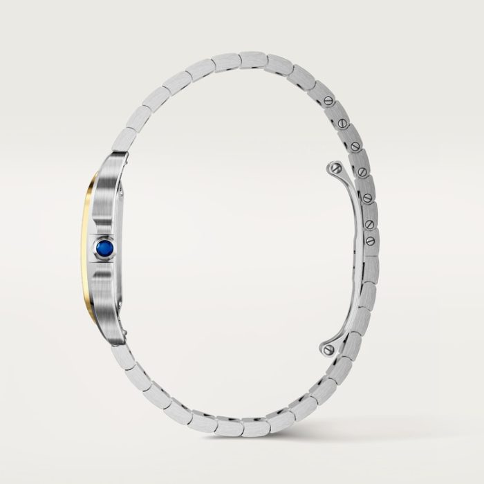 SANTOS DE CARTIER saat - Görsel 5