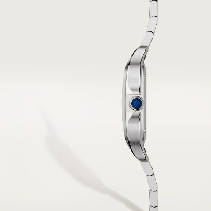 SANTOS DE CARTIER saat - Görsel 8