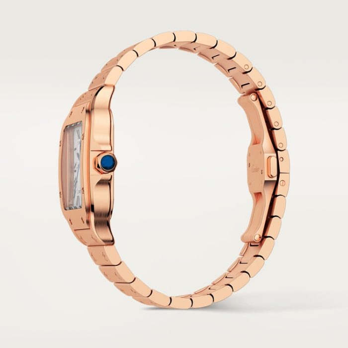 SANTOS DE CARTIER saat - Görsel 5