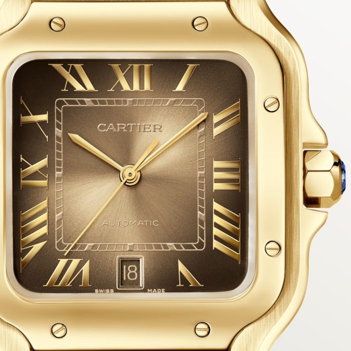 SANTOS DE CARTIER saat - Görsel 6