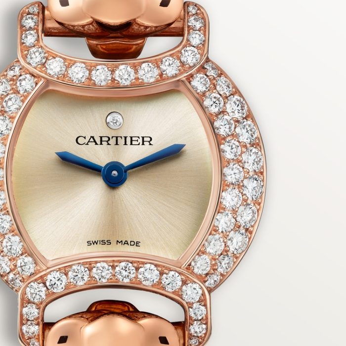 LA PANTHÈRE DE CARTIER saat - Görsel 5