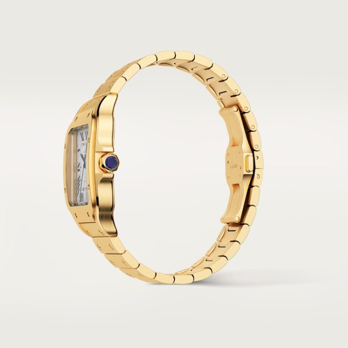 SANTOS DE CARTIER saat - Görsel 7