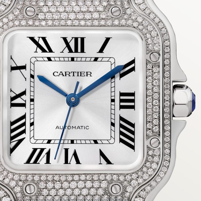 SANTOS DE CARTIER saat - Görsel 3