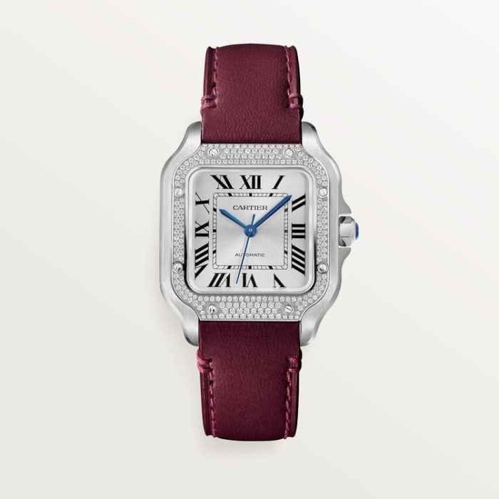 SANTOS DE CARTIER saat - Görsel 8