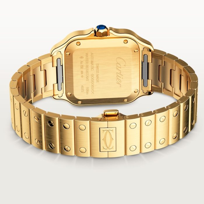 SANTOS DE CARTIER saat - Görsel 4