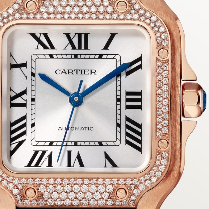 SANTOS DE CARTIER saat - Görsel 8