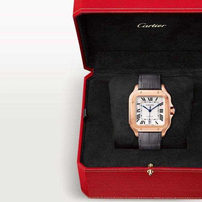 SANTOS DE CARTIER saat - Görsel 8