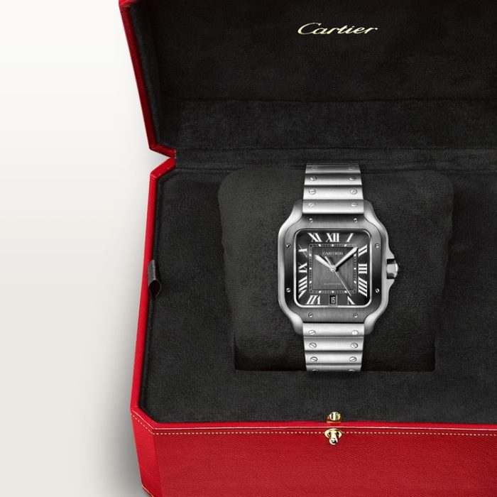 SANTOS DE CARTIER saat - Görsel 8