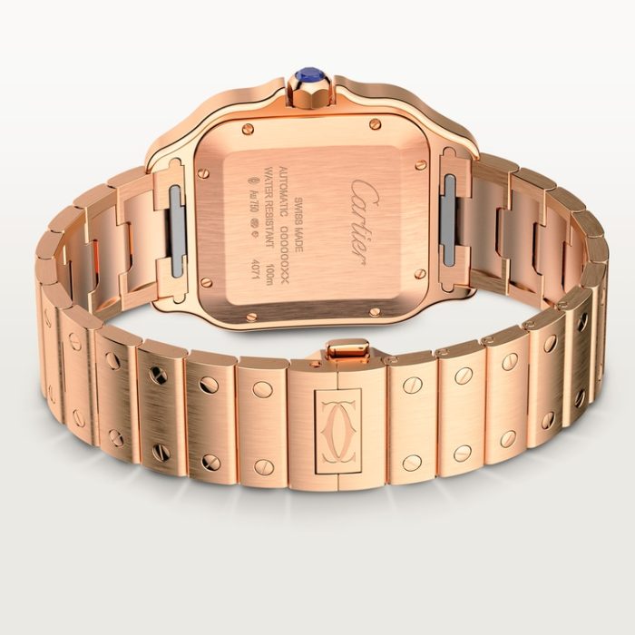 SANTOS DE CARTIER saat - Görsel 6