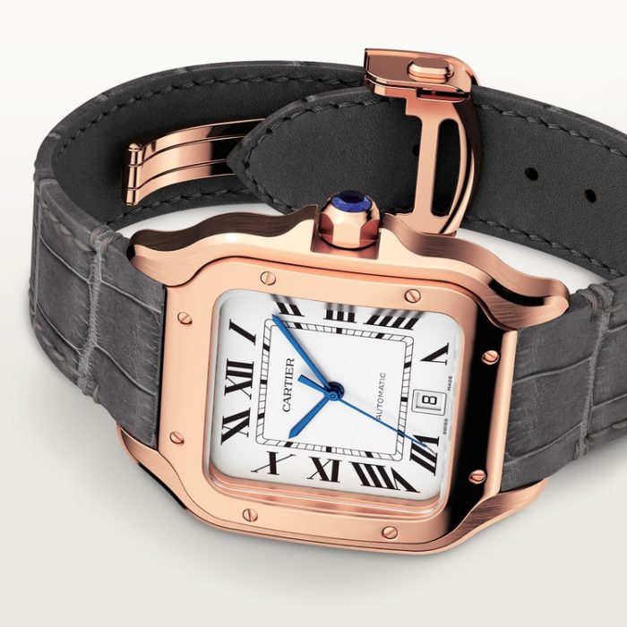SANTOS DE CARTIER saat - Görsel 5
