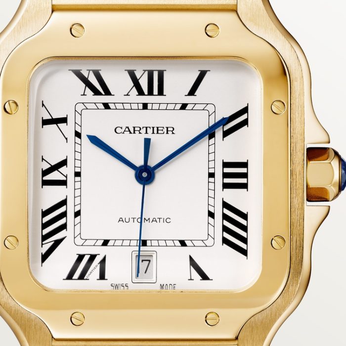 SANTOS DE CARTIER saat - Görsel 9