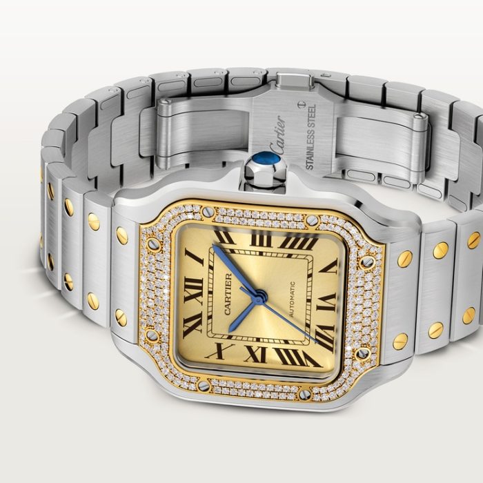 SANTOS DE CARTIER saat - Görsel 8
