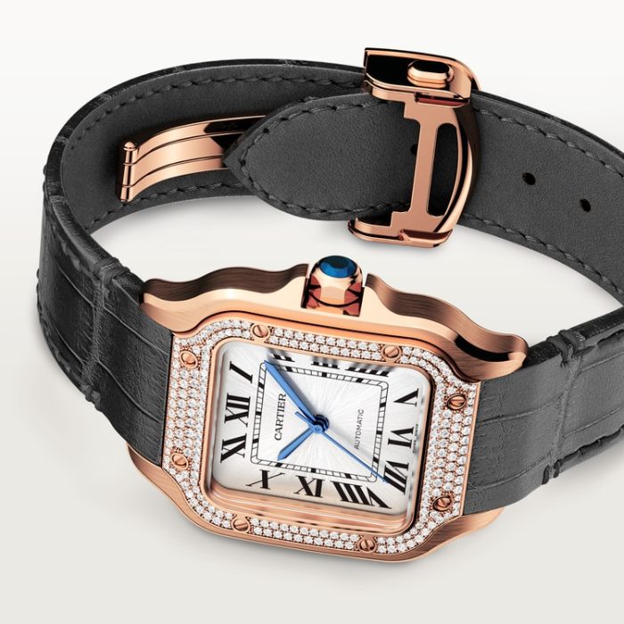 SANTOS DE CARTIER saat - Görsel 7