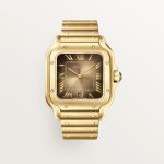 SANTOS DE CARTIER saat