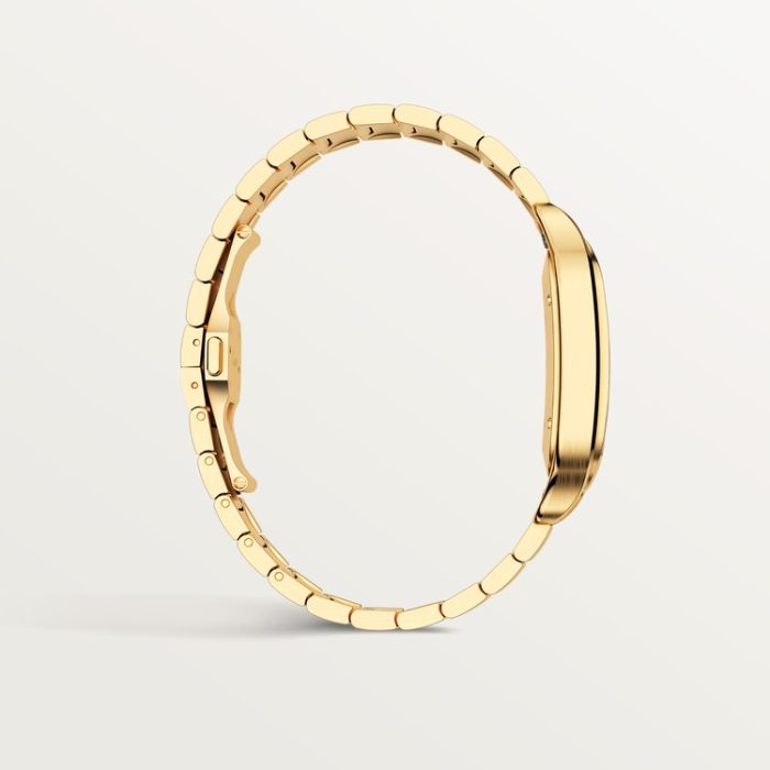 SANTOS DE CARTIER saat - Görsel 6