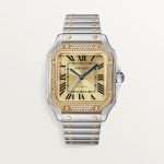 SANTOS DE CARTIER saat