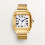 SANTOS DE CARTIER saat