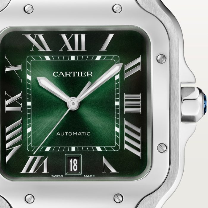 SANTOS DE CARTIER saat - Görsel 8