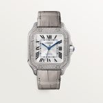 SANTOS DE CARTIER saat