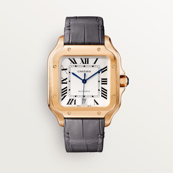 SANTOS DE CARTIER saat - Görsel 4